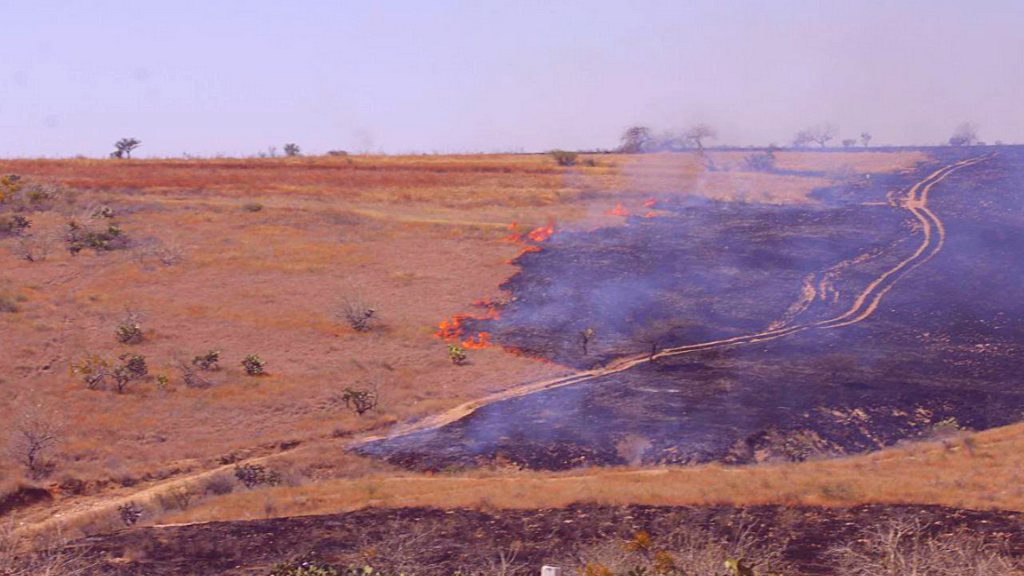 Incendios forestales en Guanajuato capital han dejado más de 780 hectáreas afectadas