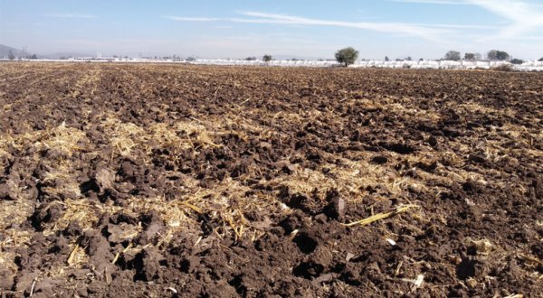 Espera CNC dos ciclos de riego con apertura de la presa La Purísima en Irapuato