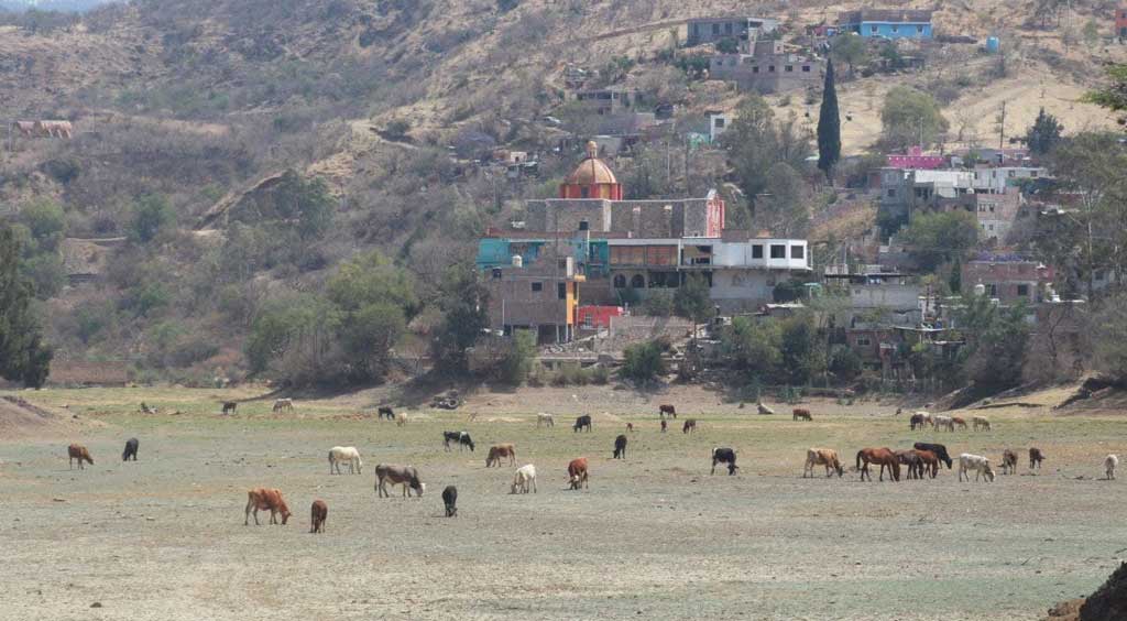 Advierte diputado ‘pérdidas catastróficas’ en la agricultura por falta de lluvias