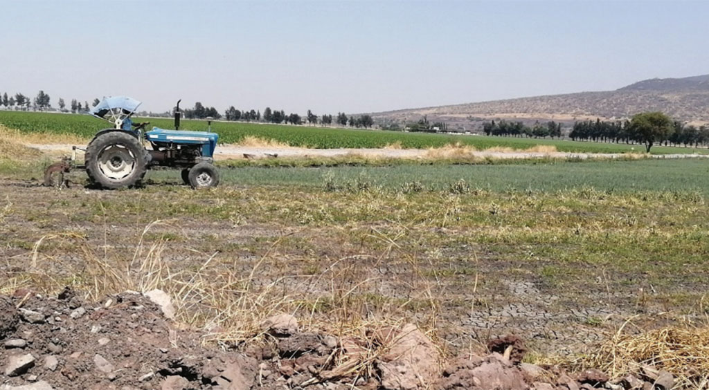 Peligran riegos en miles de hectáreas de Guanajuato por sequía y escasez en presas