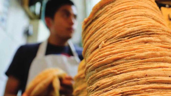 Precio de la tortilla podría superar los 18 pesos el kilo