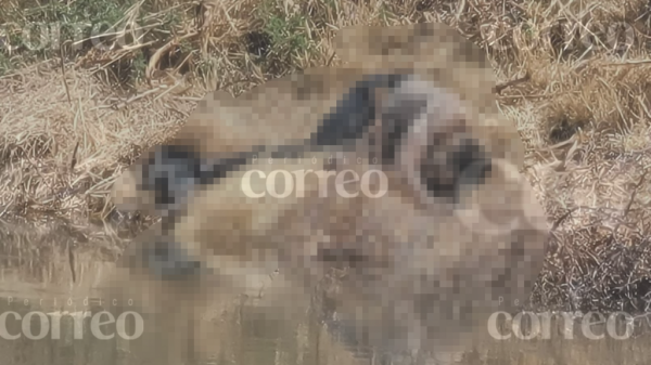 Encuentran el cuerpo de un hombre flotando en el canal de Coria en Salamanca