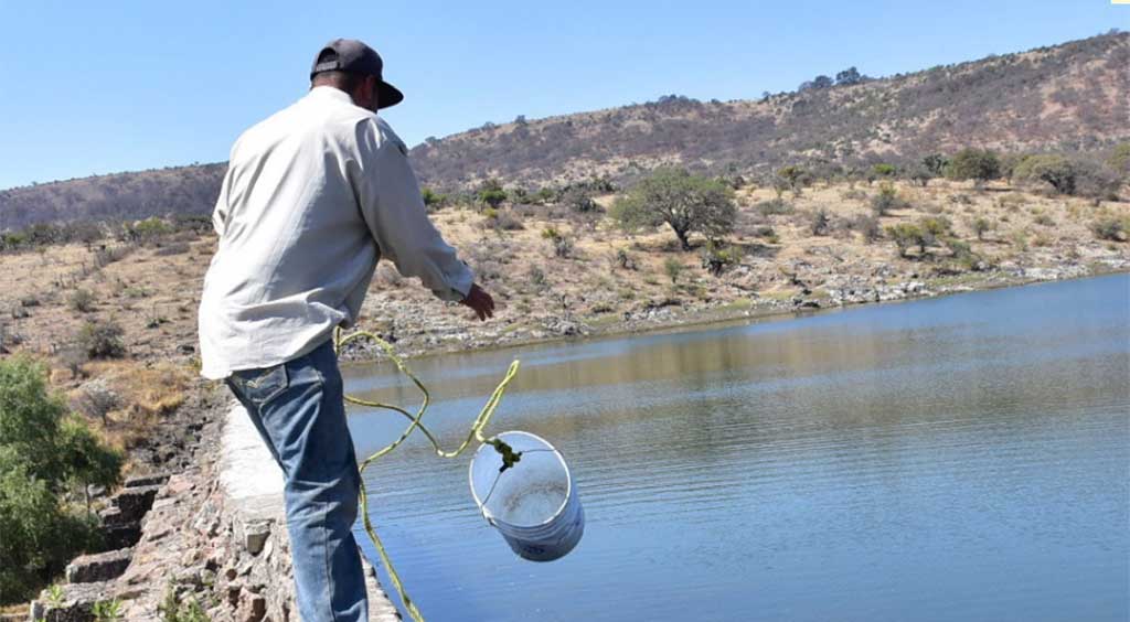 Alarma dramática baja en el nivel de cuerpos de agua de León