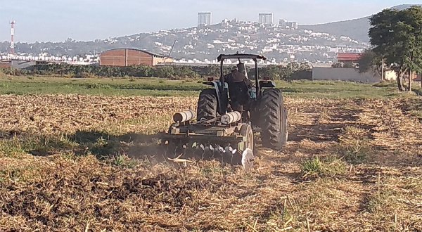 No hay recursos para apoyar al campo en sequía, reconoce Ricardo Ortiz