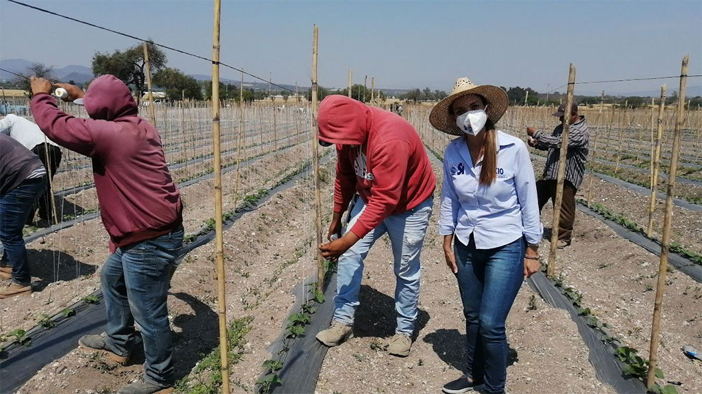 Refrenda Rocío Ambriz su compromiso con los trabajadores agrícolas