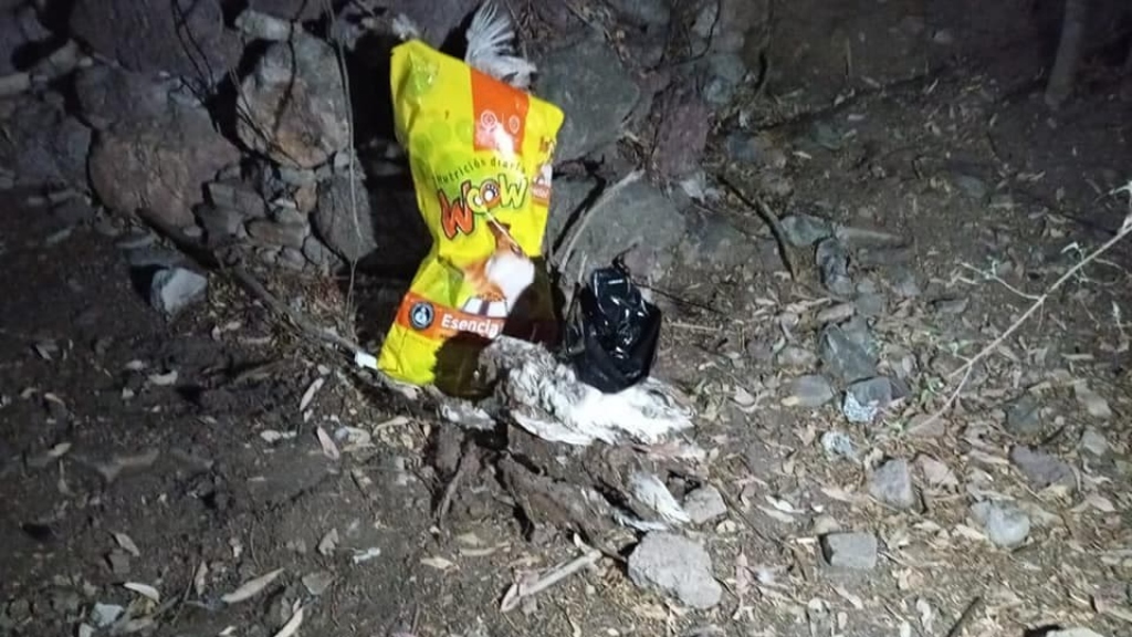 Hallan muertos a 14 patos de la Presa de la Olla por causa ‘misteriosa’