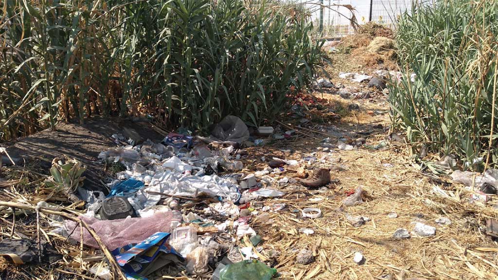 Convierten bordo de canal en Las Carmelitas en tiradero y foco infeccioso