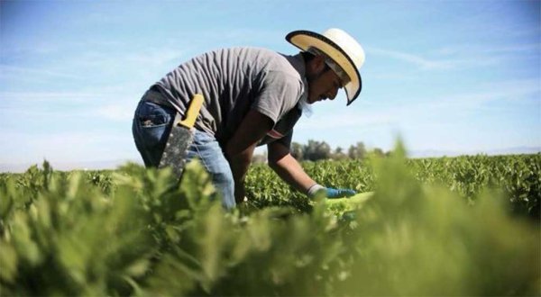 Reclama México a Estados Unidos abusos contra migrantes