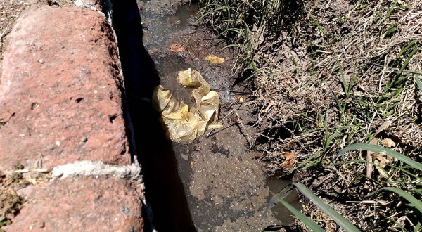 Exigen planta de tratamiento en Rincón de Tamayo tras contaminación de agua