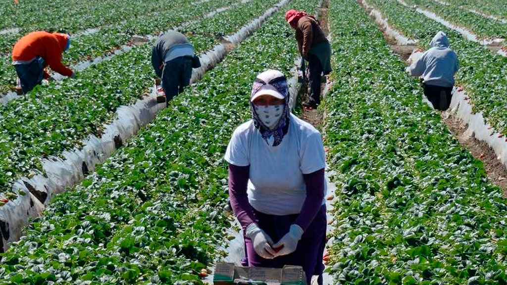 Diputada pide a migrantes “valorarse” como trabajadores al regresar a Guanajuato