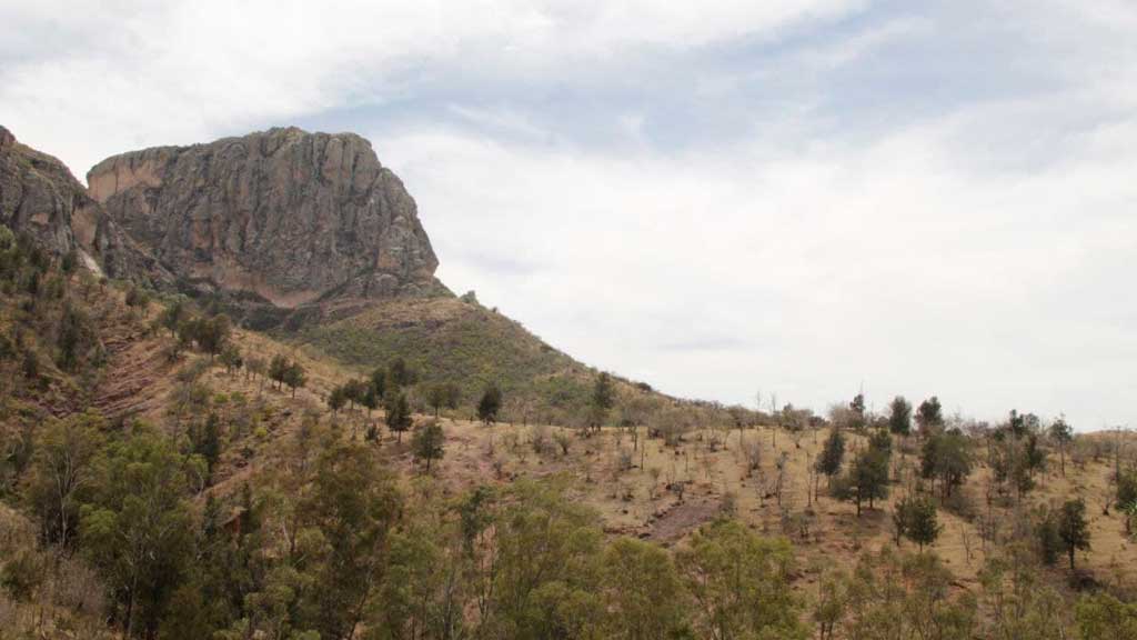 Localizan a joven extraviado en el cerro de La Bufa tras horas de búsqueda