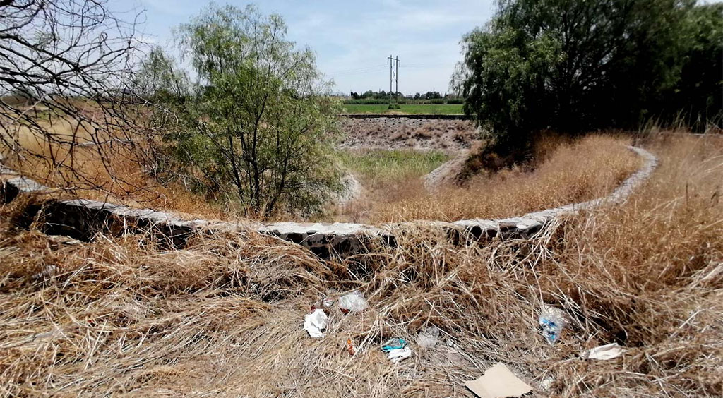 Dejan en el olvido al lago del Eje Juan Pablo Segundo de Celaya