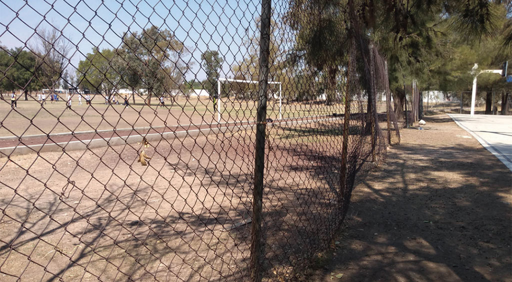 Combaten vandalismo juvenil en Deportiva Sur de Irapuato con trabajo social