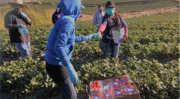 Confían migrantes guanajuatenses en una posible amnistía de Biden