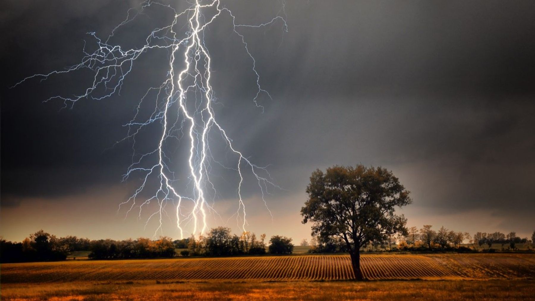 Se refugiaban de la lluvia bajo un árbol; un rayo los fulminó