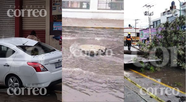 Caos, inundaciones y árboles caídos fue lo que dejó la lluvia en Irapuato