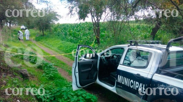 Entre hierba y lodo encuentran a mujer desmembrada en Irapuato