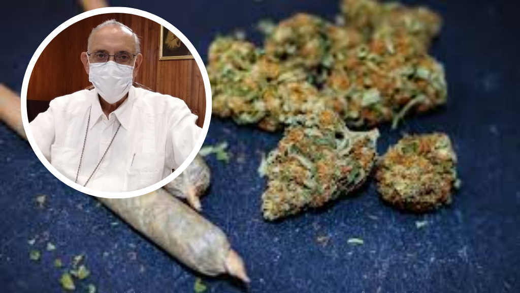 Obispo de Celaya aprueba el uso medicinal de la marihuana, pero teme por el uso recreativo