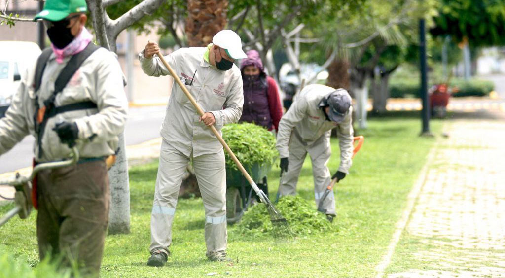 Aumentan acciones de poda de árboles y mantenimiento de áreas verdes en Salamanca