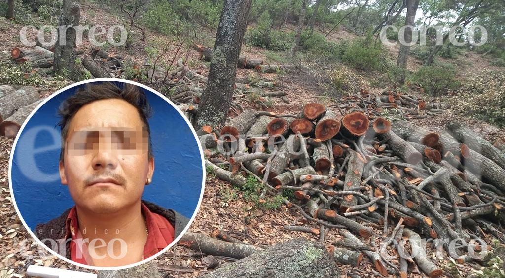 Detienen a michoacano por talar más de 40 árboles en la Sierra de Santa Rosa