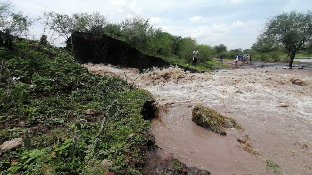 Van 300 hectáreas de maíz y sorgo inundadas tras desbordarse presa en Pénjamo