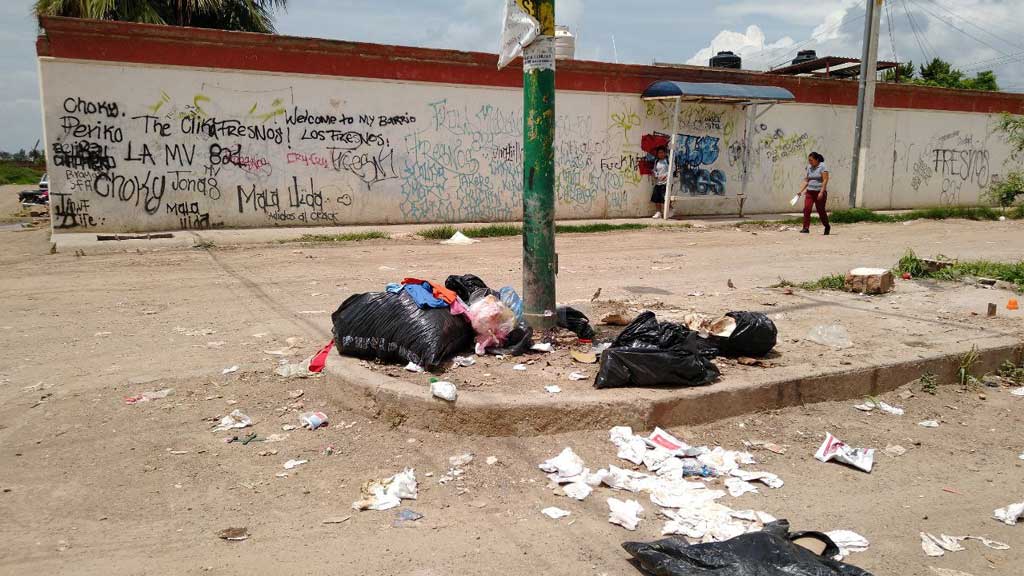 Vecinos de Los Fresnos en Silao abandonan sus casas al vivir en el olvido