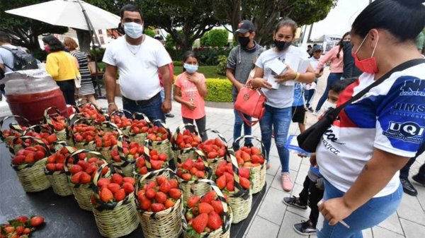 Disfrutan del segundo día del Festival de la Fresa