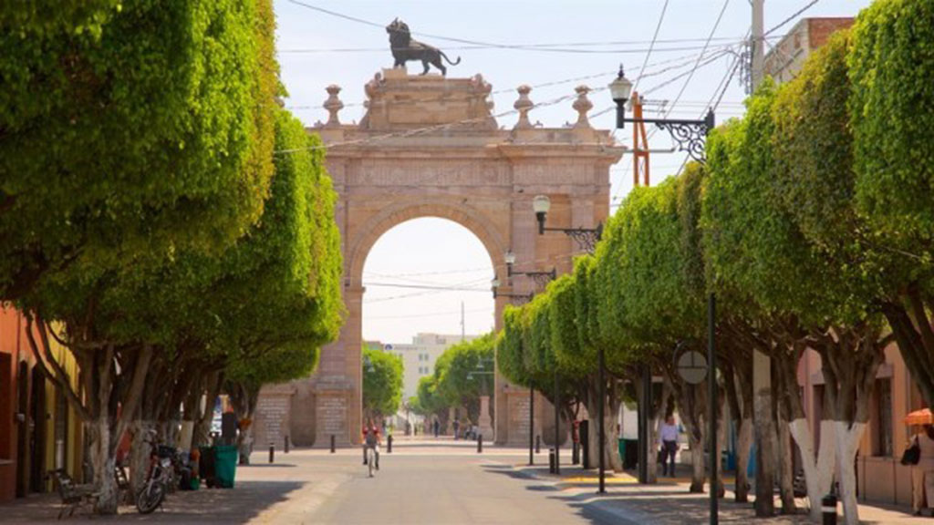 El 97% de los árboles de León pende de un hilo para sobrevivir