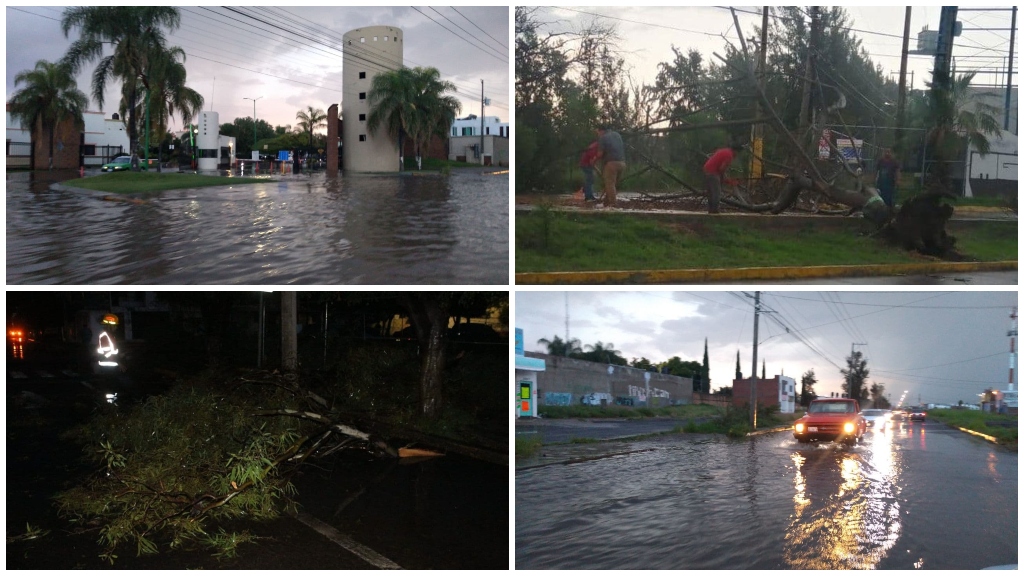 Lluvia, granizo y viento en Irapuato arrasan con árboles y anuncios a su paso