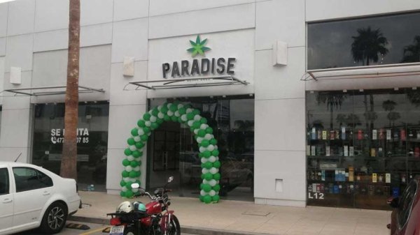 ‘Paradise’ abre sus puertas en León para quienes buscan una ‘relajación natural’