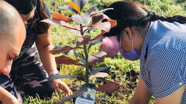 ‘Echan raíces’ para honrar a las víctimas fallecidas por Covid en Silao