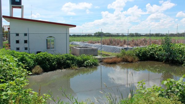 Planta tratadora abandonada deja bajo aguas negras tierra de cultivo en Silao