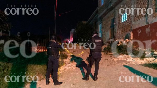 Pénjamo: Mujer queda grave tras ataque en su casa; fallece horas más tarde