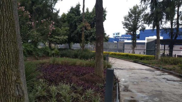 Aclaran ambientalistas que no están en contra de la Torre Médica, sino de la ubicación