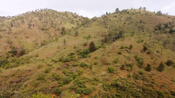 Reforestan Parque Ecológico El Orito en Guanajuato