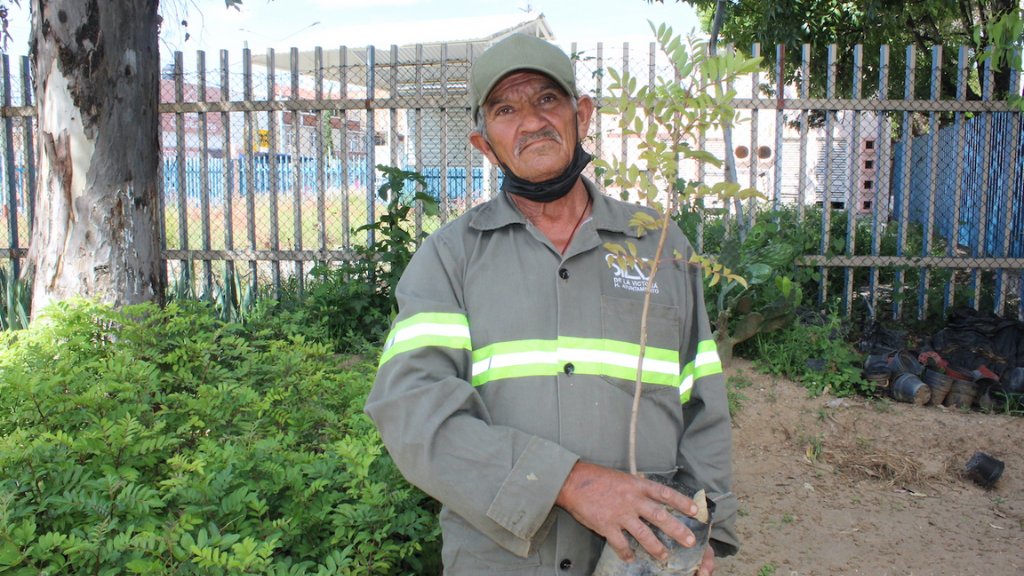 Vivero Municipal de Silao produce sus propias plantas para embellecer la ciudad