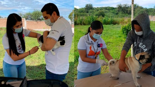 Estos son los puntos donde podrás vacunar a tu mascota en Guanajuato capital