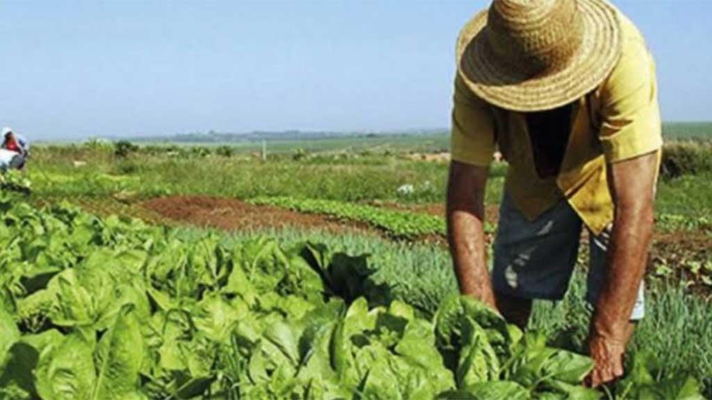 Prepararan encuentro con el Magistrado del Tribunal Agrario en Xichú