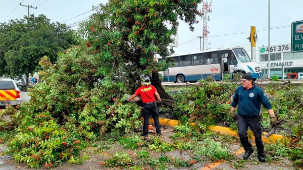 Se registra segunda lluvia más fuerte de la temporada en Celaya