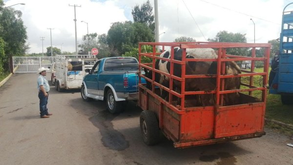 Por falta de mantenimiento, rastro de Salamanca suspende matanza de reses