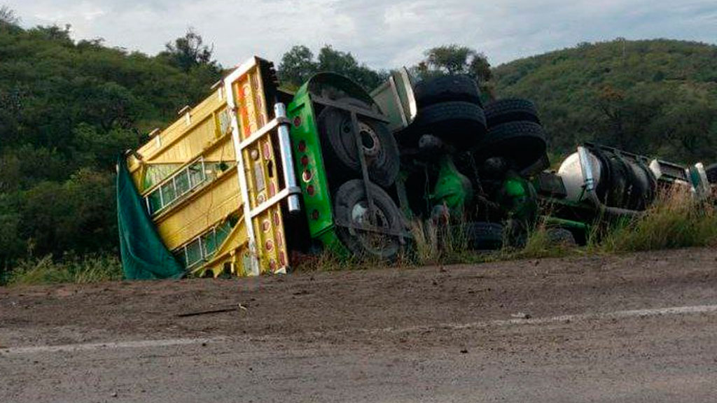 Camión cargado de elotes vuelca sobre la Silao- San Felipe