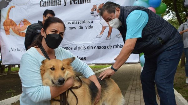 Van más de 200 mil mascotas inmunizadas en Campaña Antirrábica de Guanajuato