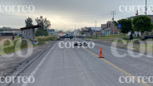 Motociclista muere al impactarse contra caballo en carretera de Acámbaro