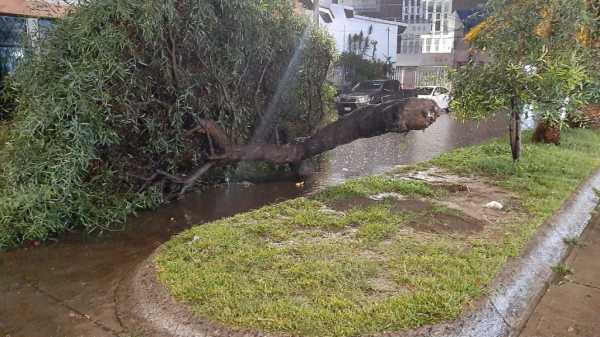 Atienden afectaciones tras fuertes lluvias en Irapuato