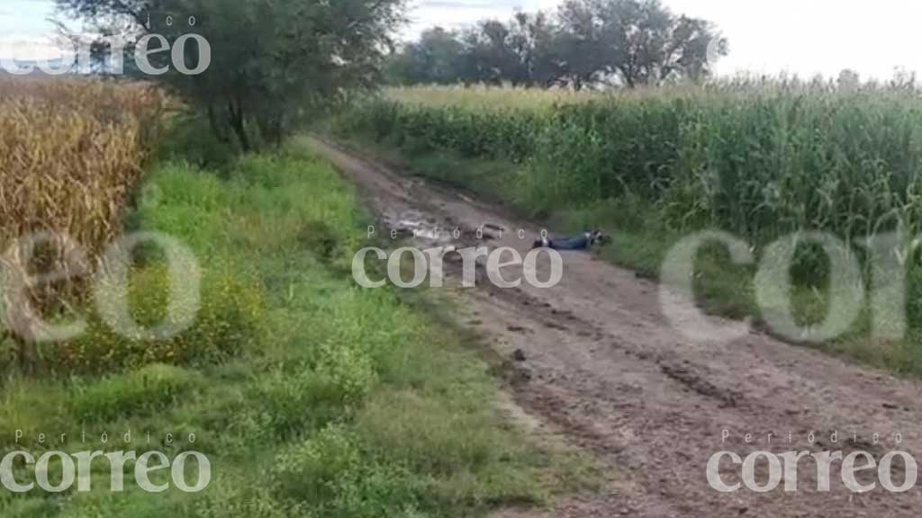 Abandonan cadáver en camino de terracería cerca de la carretera Silao-Trejo