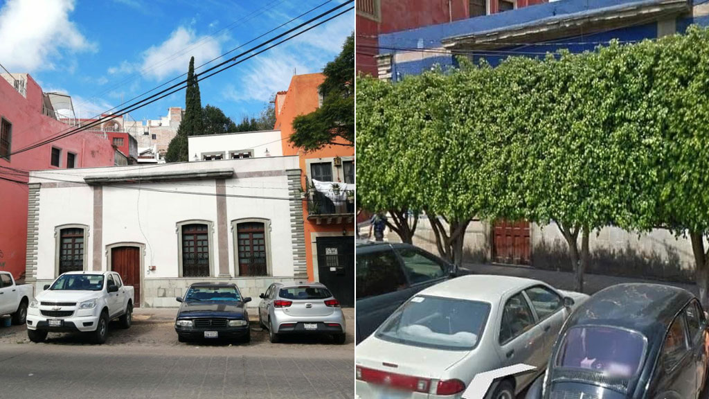 Tala de ficus en Paseo de la Presa indigna a población de Guanajuato capital