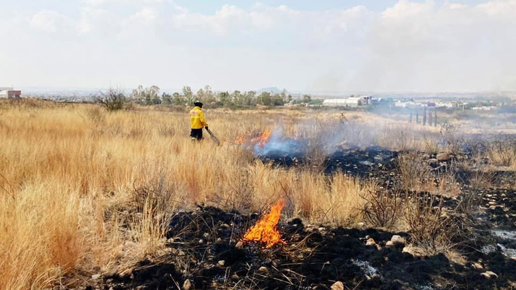 Guanajuato: aumenta en 400% el territorio afectado por incendios pastizales