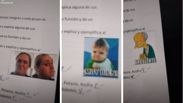 Maestra corrige exámenes con memes y se hace viral en TikTok