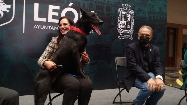 Sí, ahora la Presidencia Municipal de León será “pet friendly”