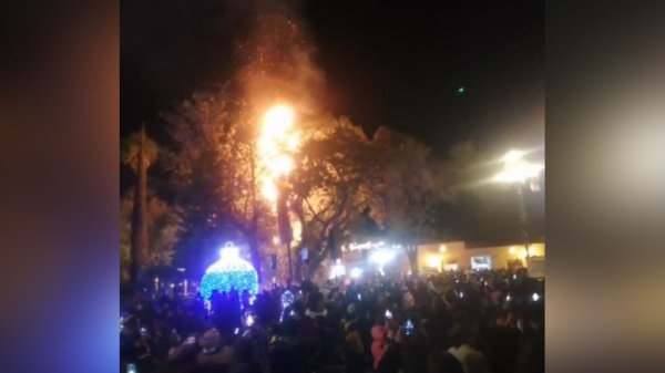 Video: encendido del árbol en Dolores Hidalgo ‘sale mal’ y se quema palmera